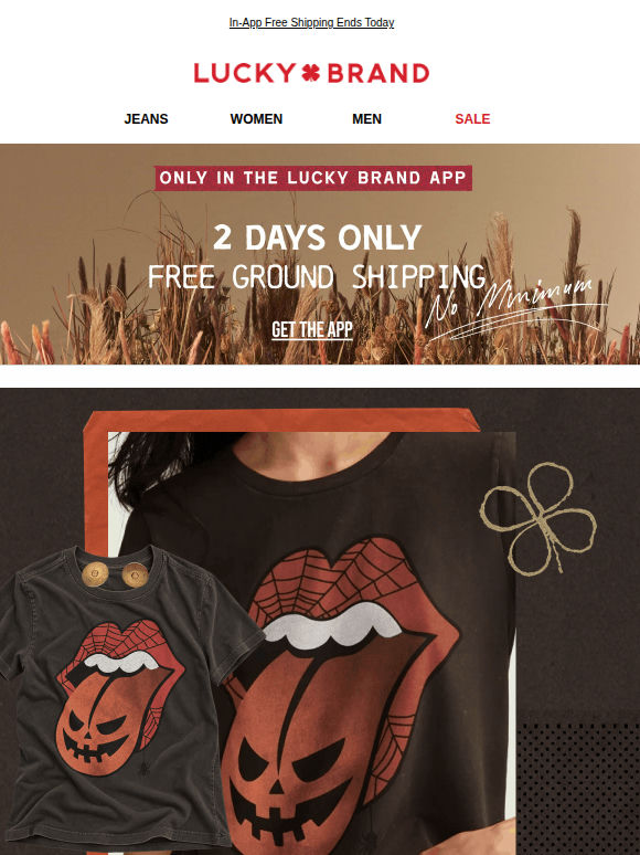 NEW! Halloween Graphic Tees + FREE Ship