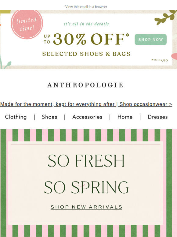 Fresh spring arrivals 🌷🐤