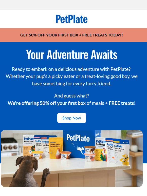 Choose Your Own Adventure: 50% Off