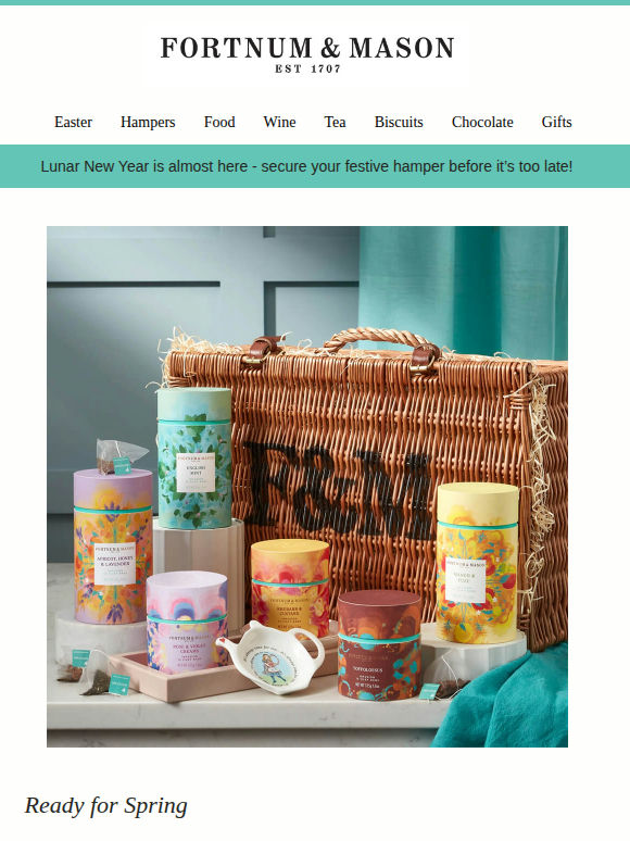 Meet Our Latest Arrivals!⭐