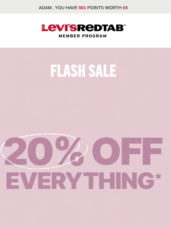 Online flash sale: 20% off everything*
