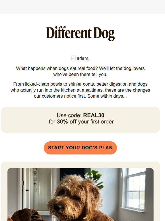 See what real food did for these dogs. Could your dog be next?