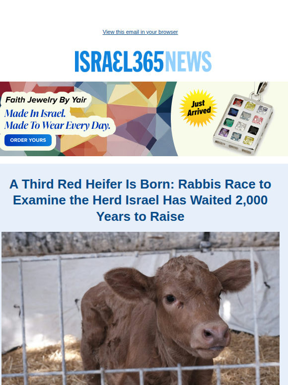 A Third Red Heifer Is Born: Rabbis Race to Examine the Herd Israel Has Waited 2,000 Years to Raise and Today's Top Stories