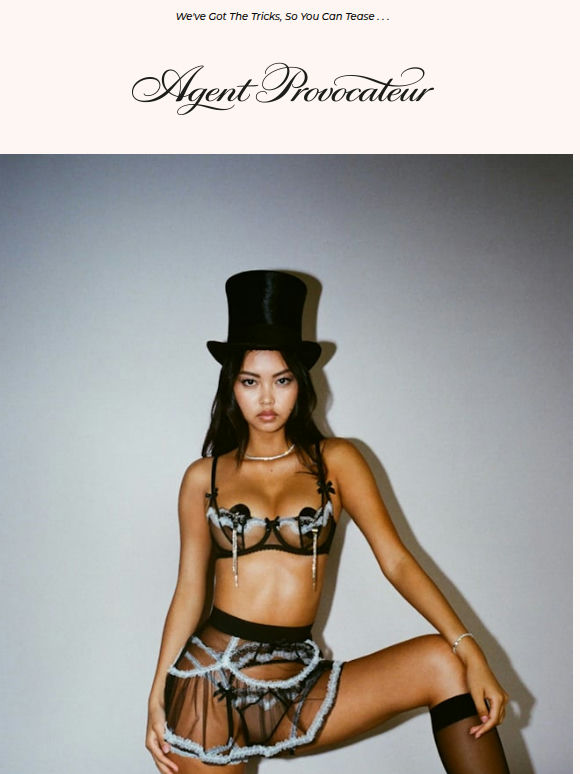 Welcome To The Provocateur's Playground 🎪