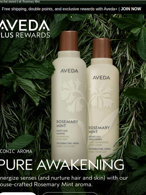 There’s no mistaking this fresh, classic aroma