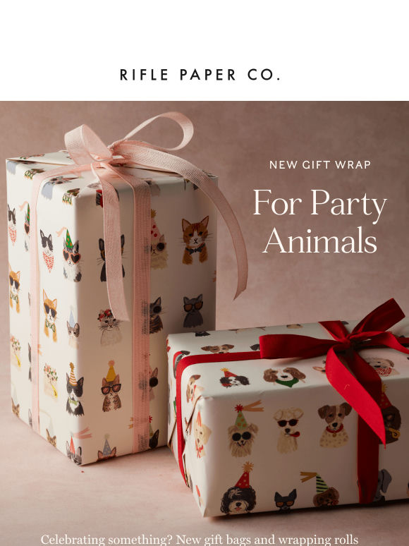 For Every Occasion 🎁