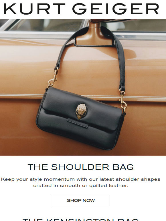 The Shoulder Bag