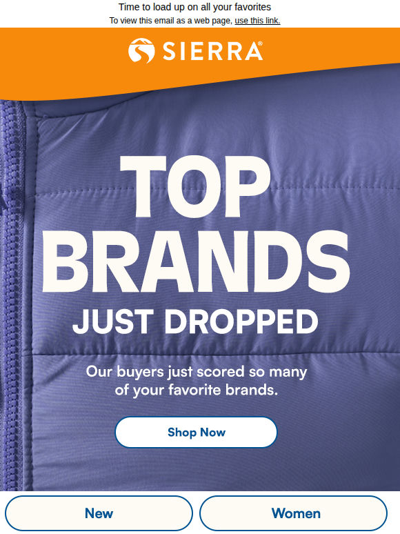 Our buyers went big on BRANDS