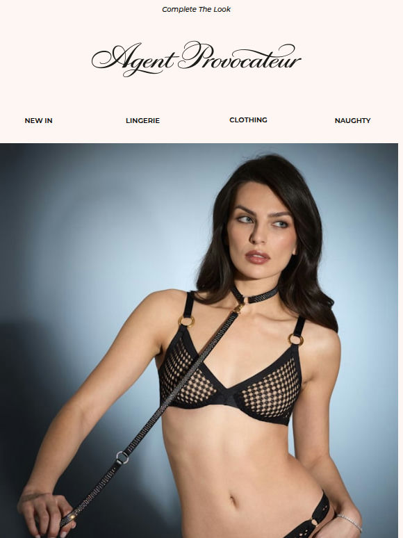 The Perfect Plus One | Explore Lingerie & Accessory Pairings ✨