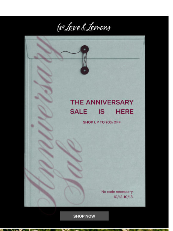 Don't Miss the Anniversary Sale