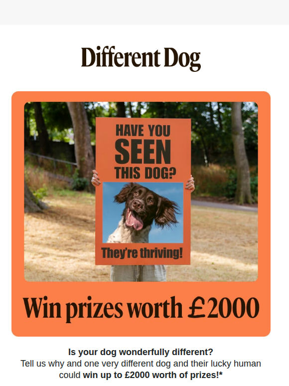 Is your dog like no other? 🐶 Win £2,000!