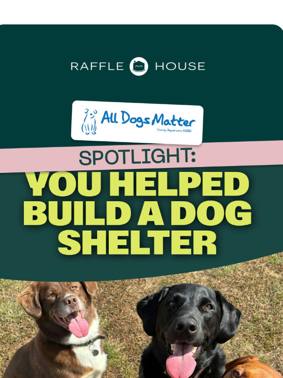 All Dogs Matter Spotlight: You Helped Raise £7,170