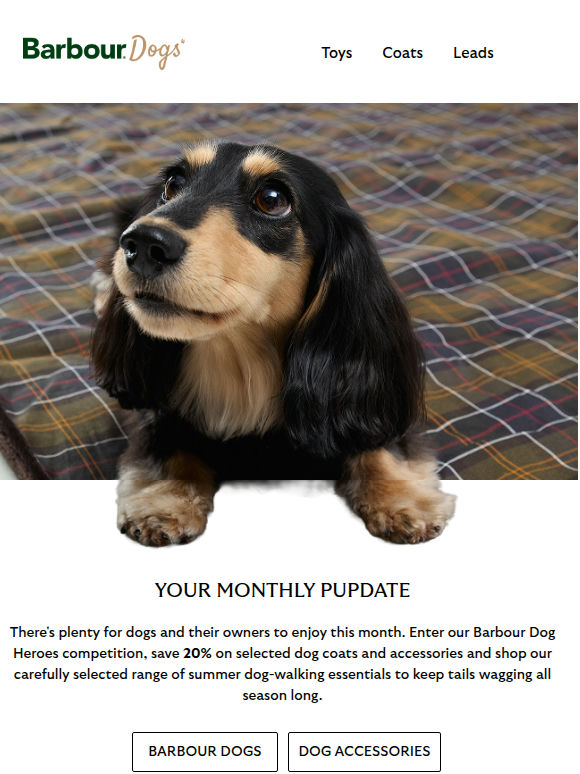 Your monthly Barbour pupdate 🐶