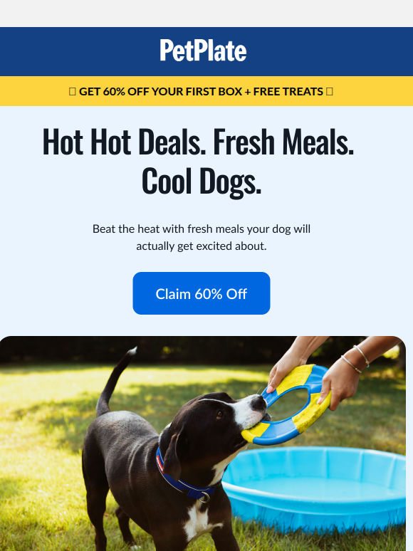 Warning: Your Dog May Demand Seconds 🚨