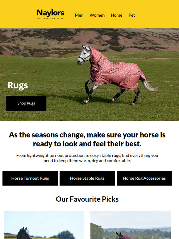 Autumn Rug Essentials, Sorted