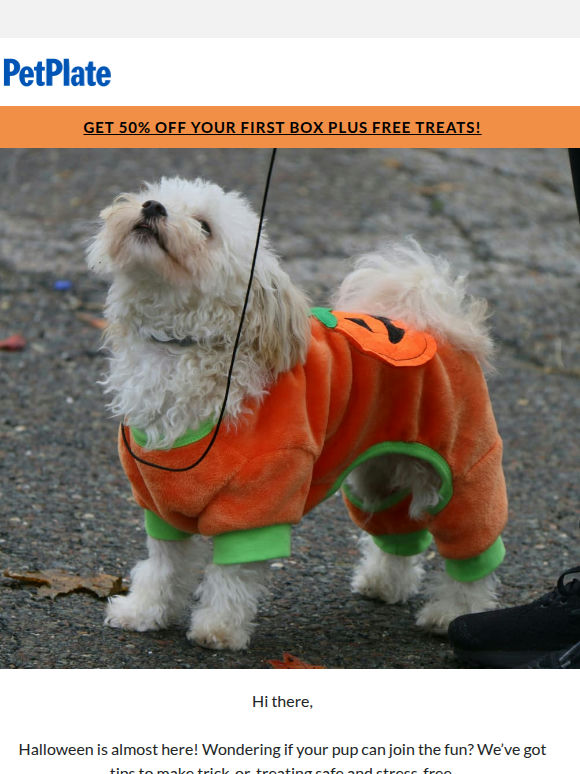 Can I Bring My Dog Trick-or-Treating? 🐾 🎃