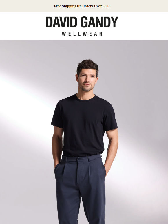 The Pant for Every Day