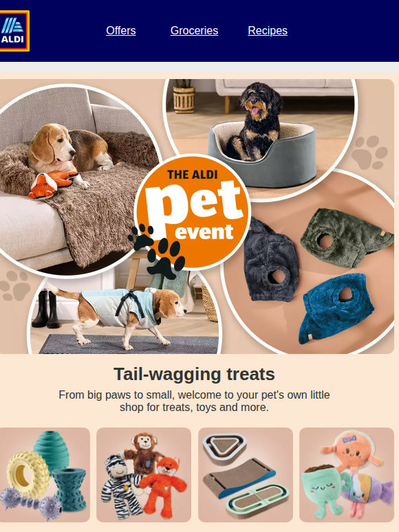 Paws to read! 👀 🐾