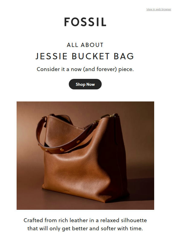 Meet The New Jessie Bucket Bag