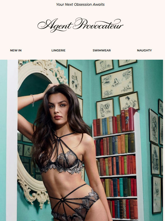 Craving Something New? | Explore The Latest