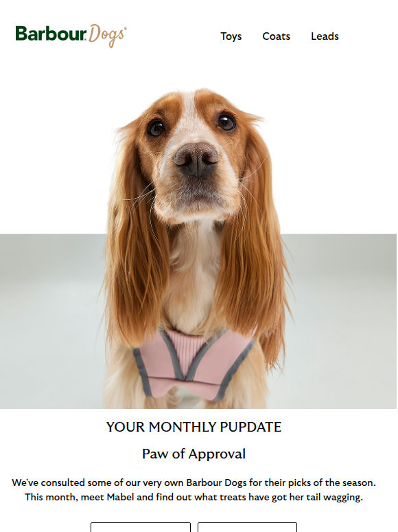 Your monthly Barbour pupdate 🐶