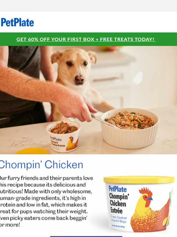 Don't Miss 60% Off Chompin' Chicken!