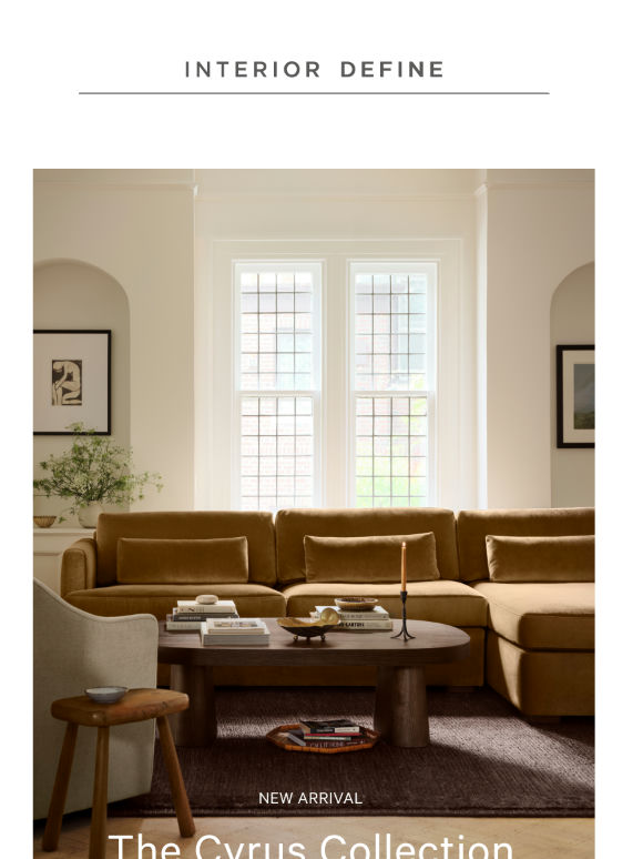 Meet Cyrus, our new favorite sofa