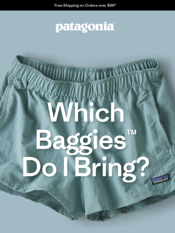 Meet the Baggies bunch