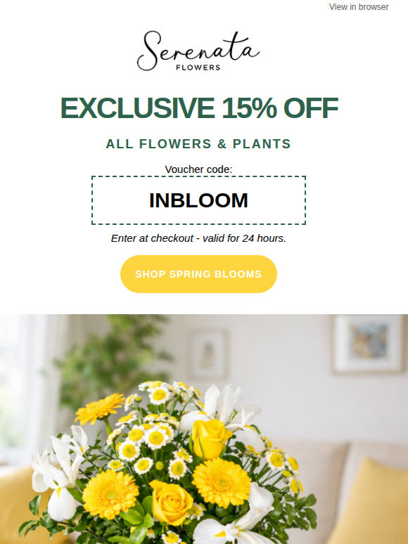 🐝 Spring has officially arrived