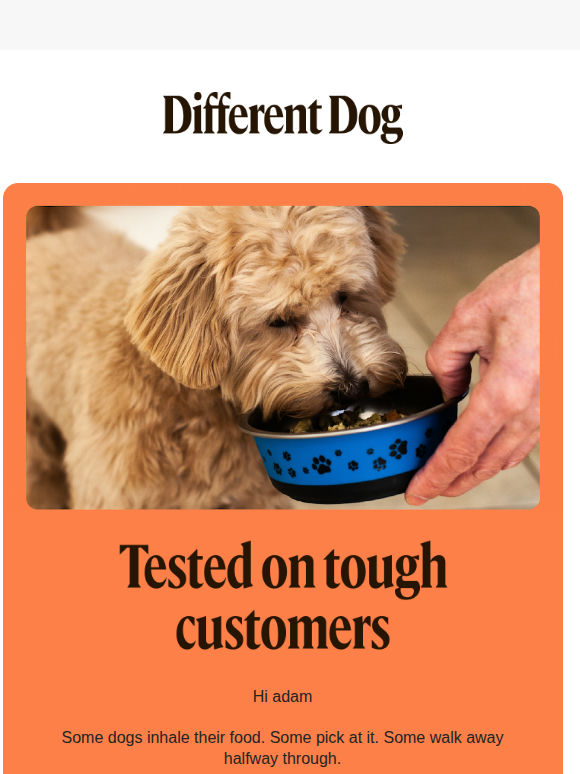 Food that's tested on tough customers 🤤