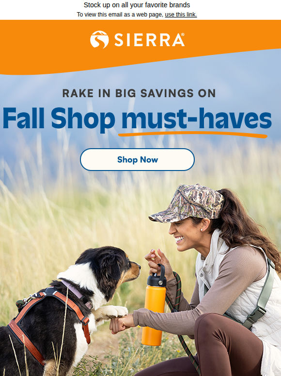 Fall Shop picks for less 🍂