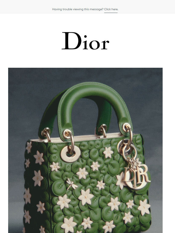 The Lady Dior Water Lilies bag