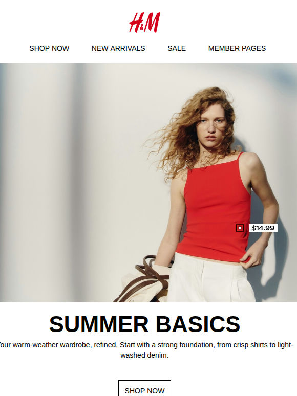 In focus: Summer basics