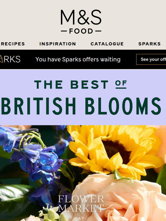 100% British sunflowers are here