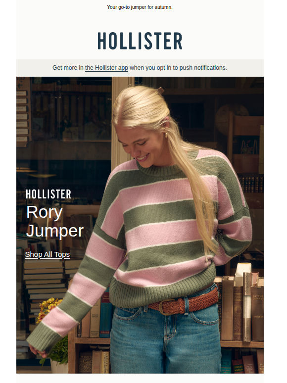 The Hollister Rory Jumper.