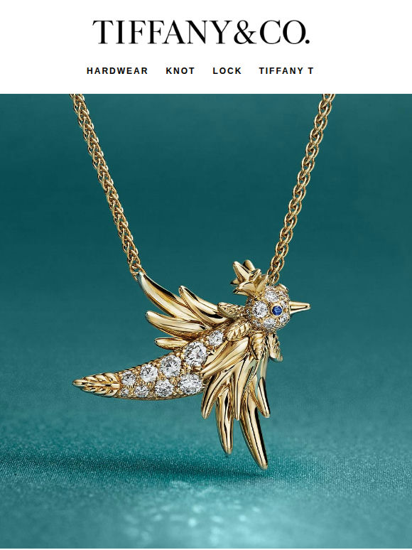 A New Expression of Bird on a Rock Soars