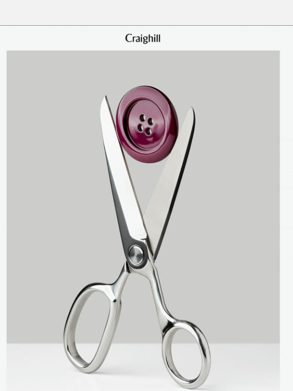 Chroma Scissors in Stainless Steel