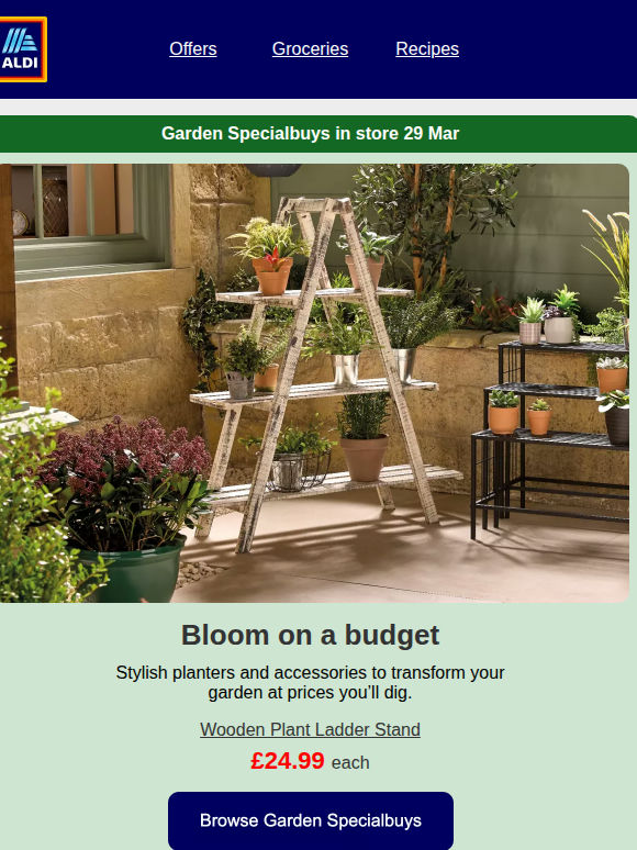 Your next great Specialbuys find has arrived