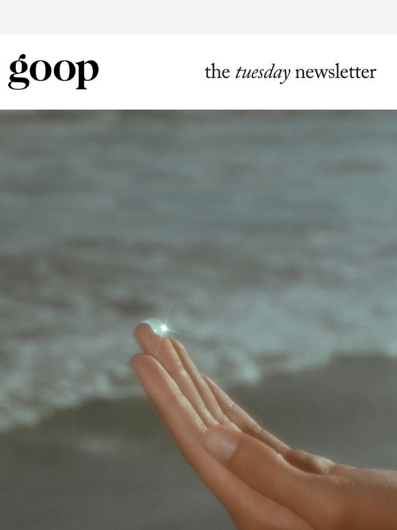 the Tuesday newsletter