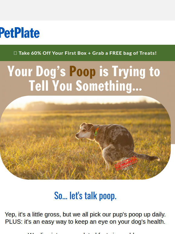 💩 Let's Talk About Poop