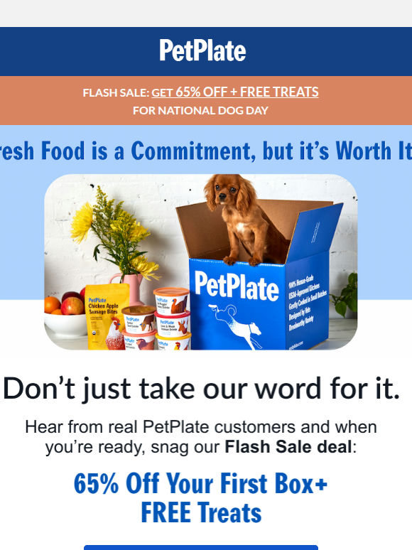 💙 My Picky Dog FINALLY Loves Dinner + 65% Off