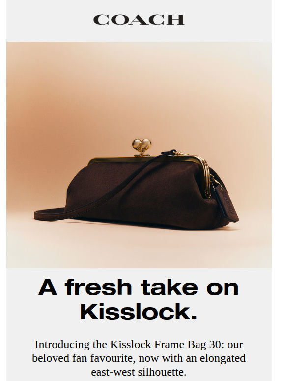 Meet our new Kisslock bag.