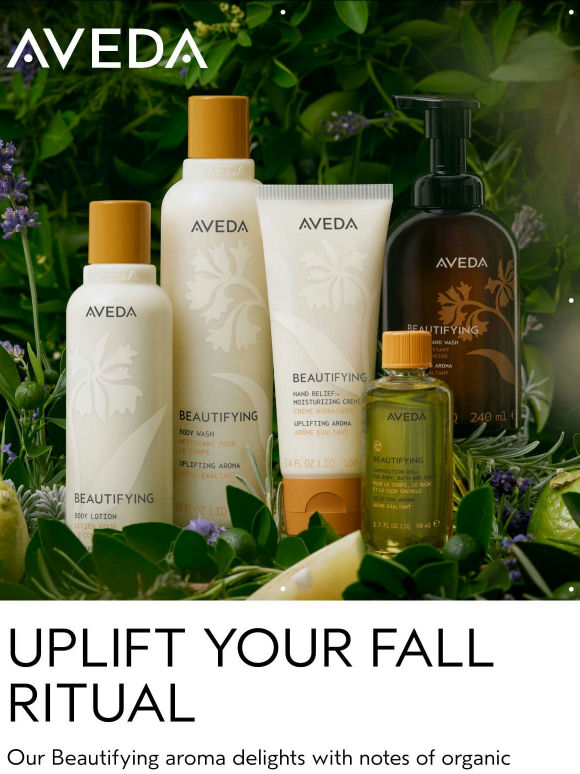 Elevate the everyday this fall