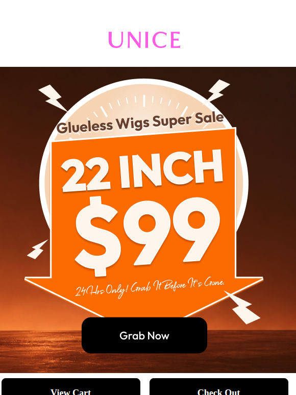 From $247.50 to $99 Your 22'' Wig Deal