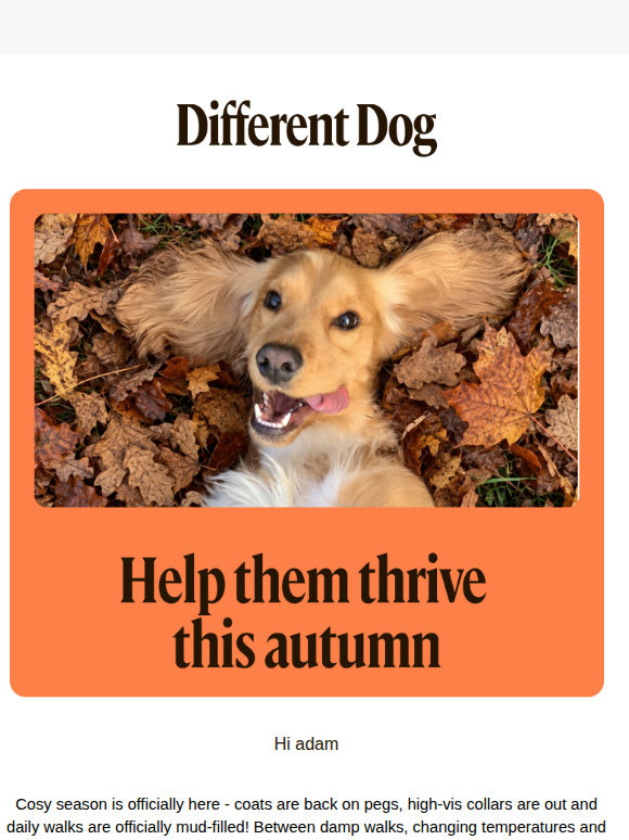 Save 25% on fresh food for your dog🐶