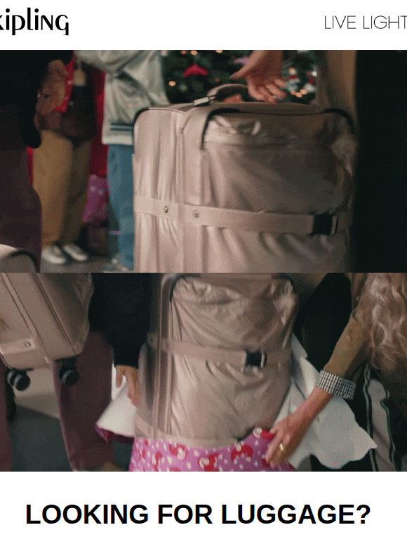 Looking for luggage?