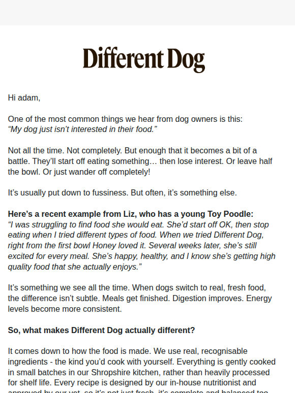 Why some dogs just stop eating their food 🐶