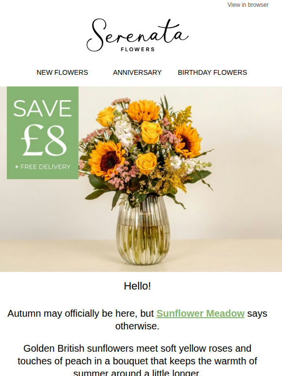 ⚡ One last burst of sunshine + £8 off 🌻