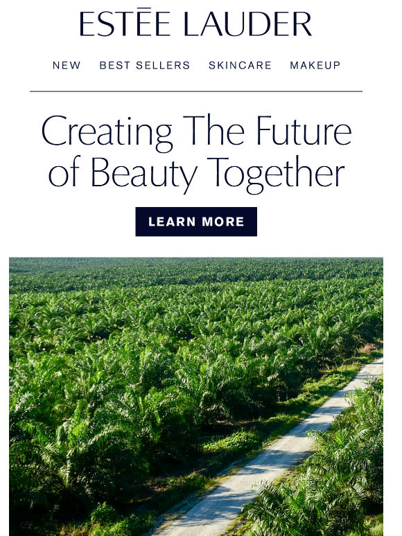 Creating the Future of Beauty Together