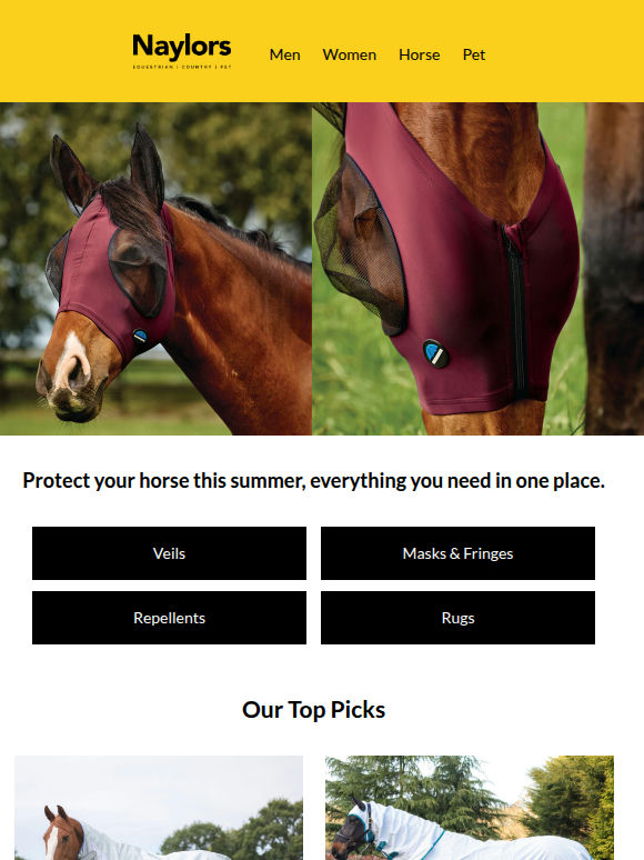 Essential Summer Fly Protection